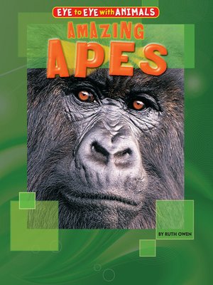 cover image of Amazing Apes